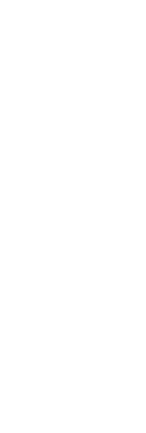 猫町 CAT TOWN イマーシブシアター